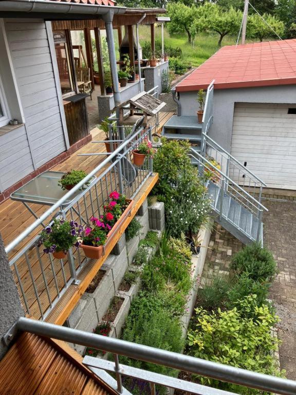 Pension Volgenandt Breitenbach Экстерьер фото